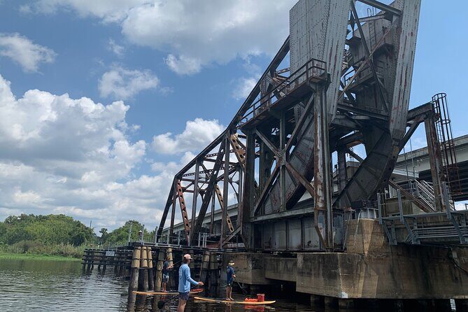 Orlando Manatee and Olde Florida History Adventure Tour - Paddle time on the St. Johns: the setting you’re really paying for