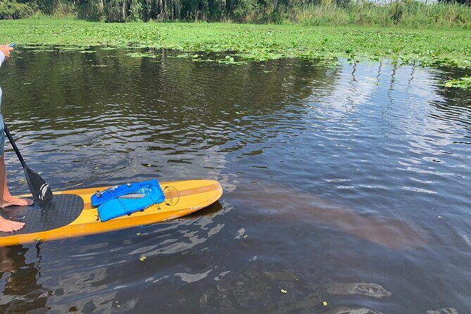 Orlando Manatee and Olde Florida History Adventure Tour - Private group vibes: when it’s just your people on the water
