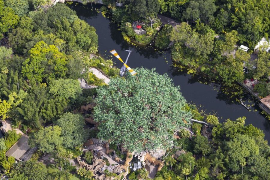 Orlando: Narrated Helicopter Flight Over Theme Parks - Who should book this (and who might not)