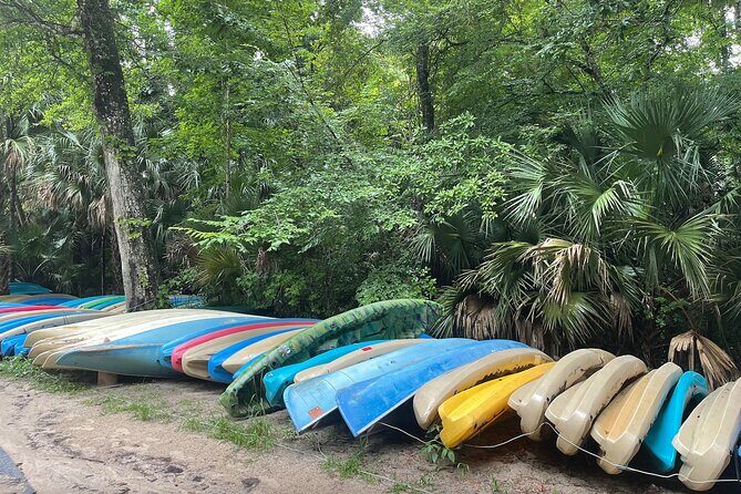 Orlando Private City Sightseeing Tour with Pickup - Wekiwa Springs State Park: trails, paddling, and getting out of the grid