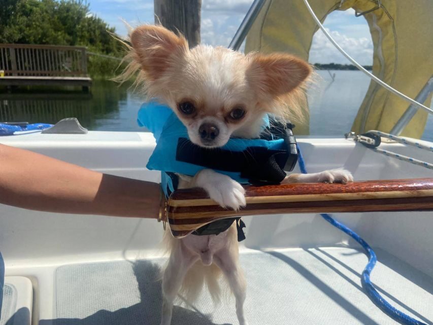 Orlando: Sailing Tour with Certified Sailing Instructor - Price and Value: Is $72 Fair for a Sail Lesson + Sunset?