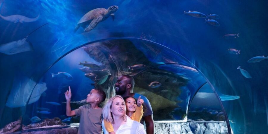 Orlando: SEA LIFE Orlando Aquarium - Timing It With Other Orlando Stops at ICON Park