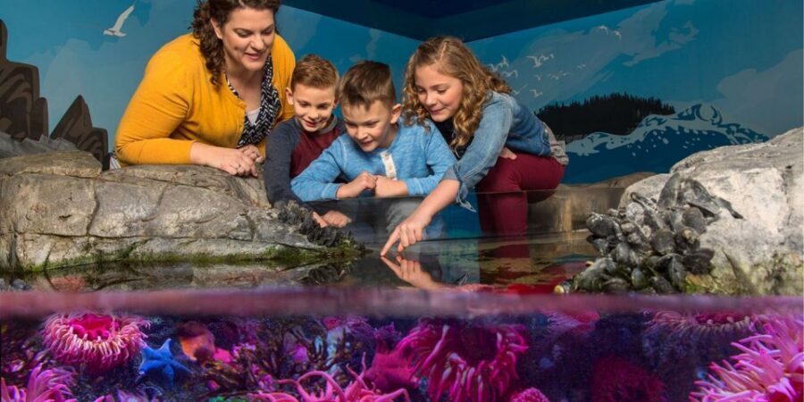 Orlando: SEA LIFE Orlando Aquarium - How the Aquarium Is Run: Aquarists, Feeding, and Real Care