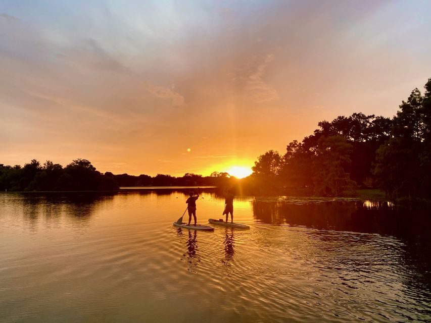 Orlando: Sunset Clear Kayak or Paddleboard in Paradise Tour - Should you book the Orlando Sunset Clear Kayak and Paddleboard tour?