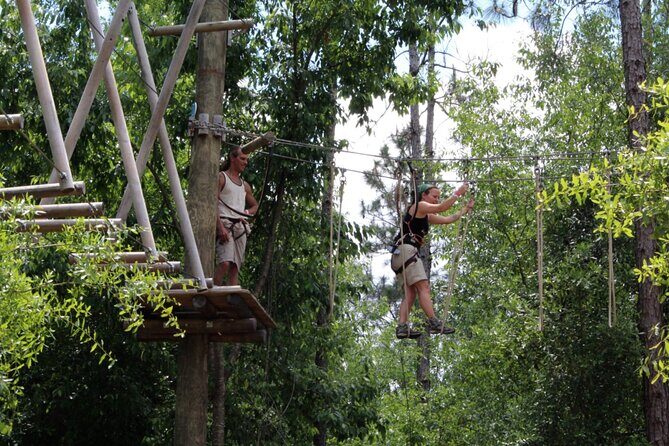Orlando Tree Trek Adventure Park - Location near Disney: timing, start times, and how to plan your day