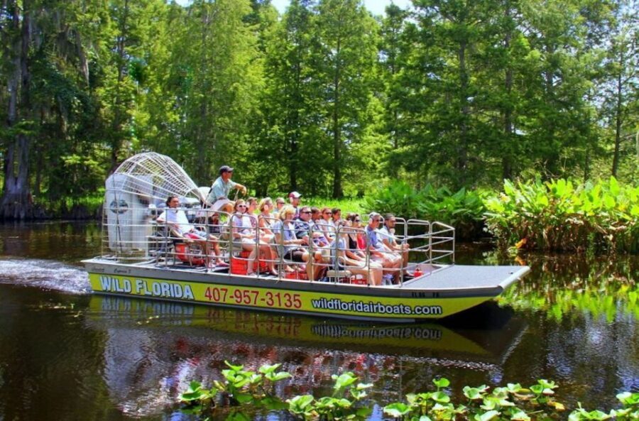 Orlando: Wild Florida Airboat Ride with Hotel Pickup & Lunch - The Airboat Ride: Wind, Speed, and Wildlife Spotting
