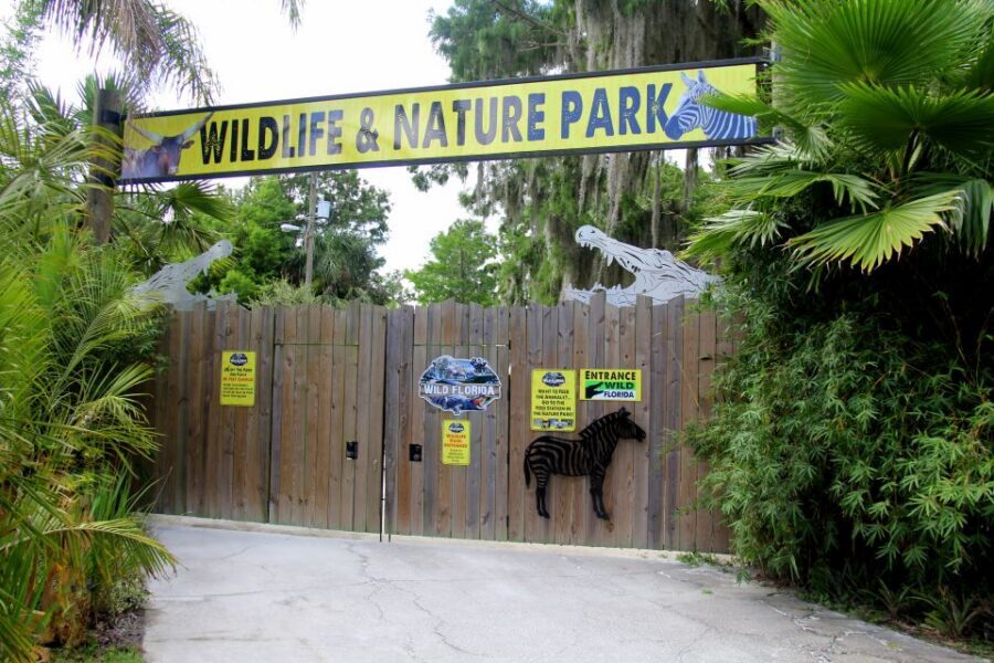 Orlando: Wild Florida Airboat Ride with Hotel Pickup & Lunch - BBQ Basket Lunch at Chomphouse Grill: Included, but Expect It to Be Simple
