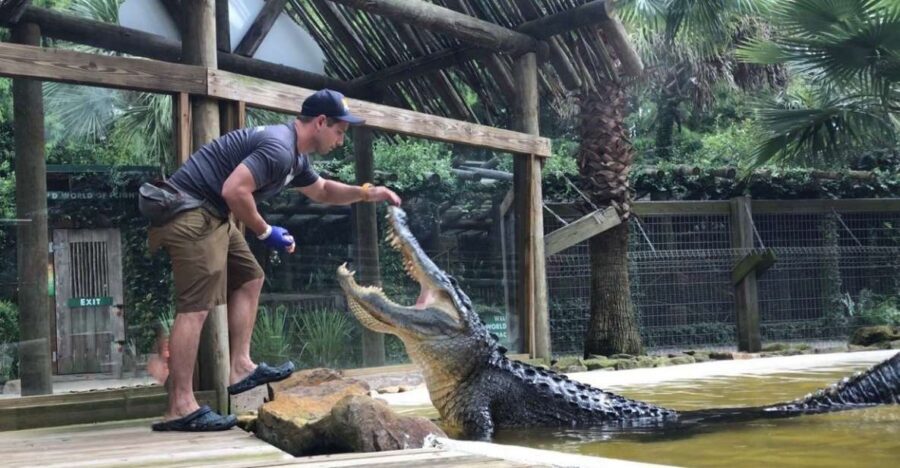 Orlando: Wild Florida Park Ticket and Gator Shows - Quick Key Points Before You Go