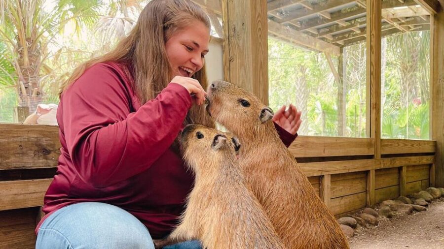 Orlando: Wild Florida Park Ticket and Gator Shows - Who This Suits Best (and Who Might Want Something Else)