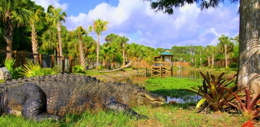 Orlando: Wild Florida Park Ticket and Gator Shows - Entering Wild Florida: What This Park Feels Like