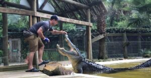 Orlando: Wild Florida Park Ticket and Gator Shows - Finding the Park Near Orlando: Kenansville Meeting Point