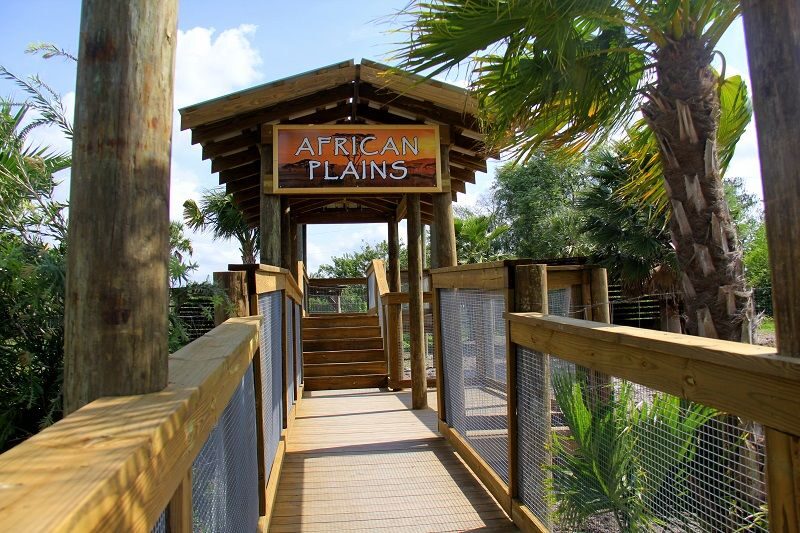 Orlando: Wild Florida Park Ticket and Gator Shows - Animal Encounters: Feeding Native Species Without the Chaos