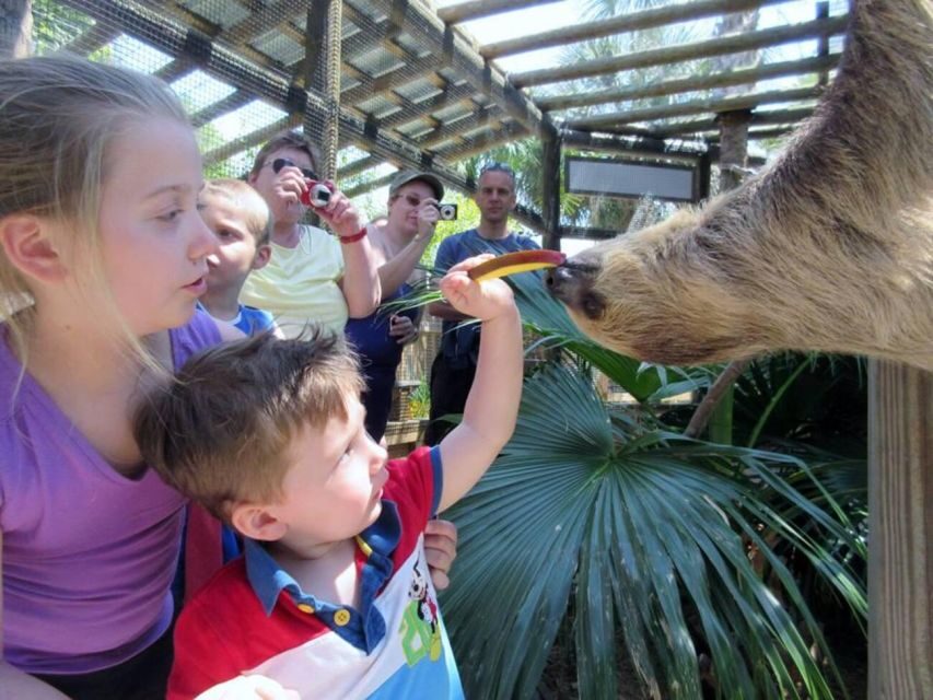 Orlando: Wild Florida Park Ticket and Gator Shows - Hawk Swamp Boardwalk: Why the Cypress Trail Matters
