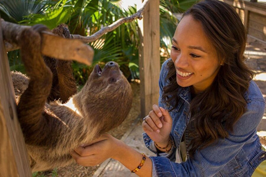 Orlando: Wild Florida Park Ticket and Gator Shows - The Hands-On Alligator Demonstration: The Main Event