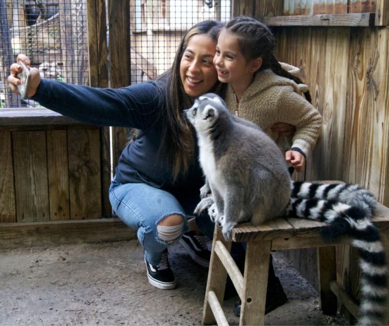 Orlando: Wild Florida Park Ticket and Gator Shows - Food at the Park: BBQ Options That Don’t Derail the Day