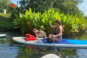Paddle with Pups in Paradise - Paddleboard or Kayak - The lesson plan: how you get from shore to smooth paddling