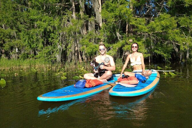 Paddle with Pups in Paradise - Paddleboard or Kayak - Who this is best for (and who should plan differently)