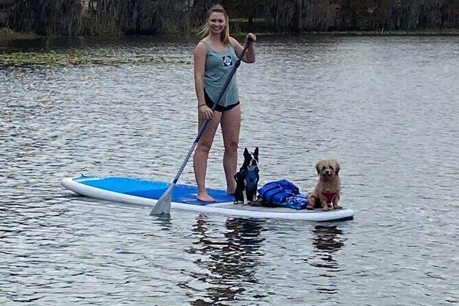Paddle with Pups in Paradise - Paddleboard or Kayak - Meeting point and what to expect on arrival