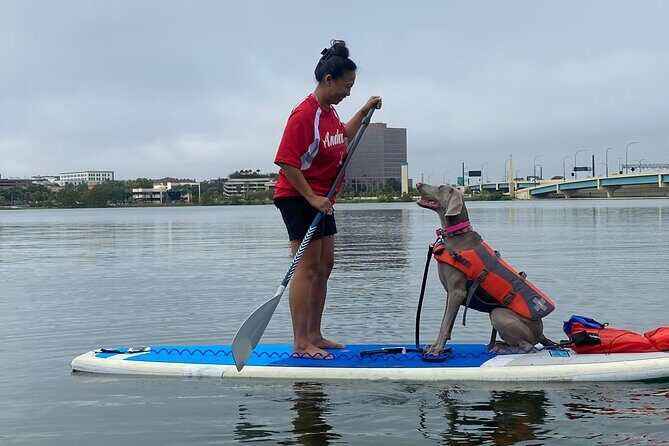 Paddle with Pups in Paradise - Paddleboard or Kayak - Weather, timing, and how to plan your day