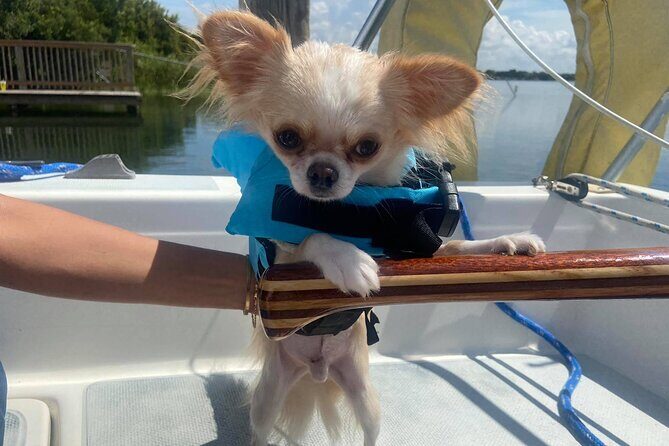Private 2-Hour Day Sailing Experience - Your 2-Hour Flow on the Water (What to Expect on the Day)