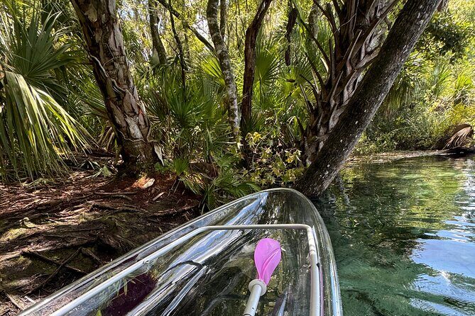 Private Crystal Clear 2 HR Kayak/Paddle Rental on Rainbow River - Key details that matter before you go