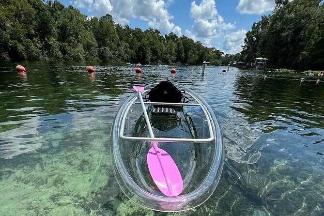 Private Crystal Clear 2 HR Kayak/Paddle Rental on Rainbow River - What makes this Rainbow River trip worth your time
