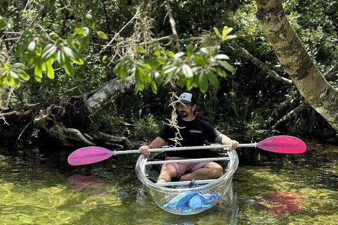 Private Crystal Clear 2 HR Kayak/Paddle Rental on Rainbow River - Crystal-clear boats: why the “clear kayak” matters more than it sounds
