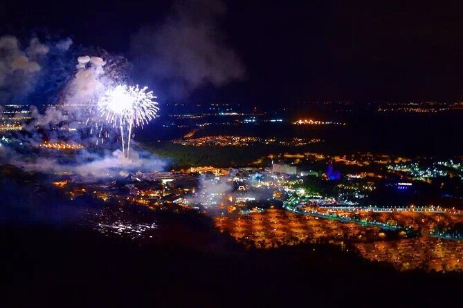 Private Helicopter 77 Miles Fireworks Tour over all Theme Parks - The Pilot Experience: Friendly, Engaging, and Actually Informative