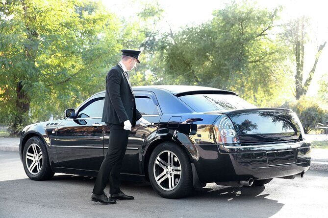 Private One-way Transfer Orlando International Airport To Orlando - Luggage, pets, and child seats: small add-ons that can matter