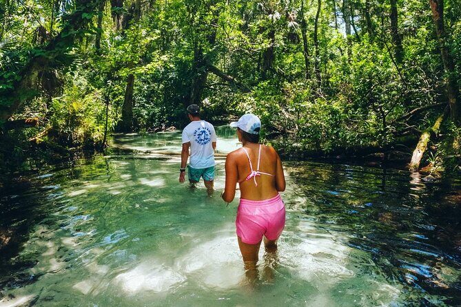 Rainbow Springs: Clear Kayak & Snorkel Eco Tour - Rainbow Springs Through a Clear Kayak: What You’ll Really See