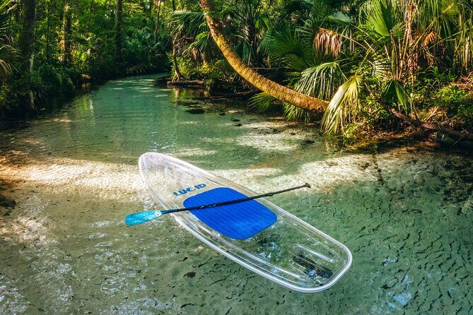 Rainbow Springs: Clear Kayak & Snorkel Eco Tour - Rainbow River Paddle Route: From Indian River Creek to the Headsprings