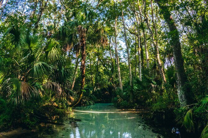 Rainbow Springs: Clear Kayak & Snorkel Eco Tour - Price and Value: Is It Worth It in Orlando Area?