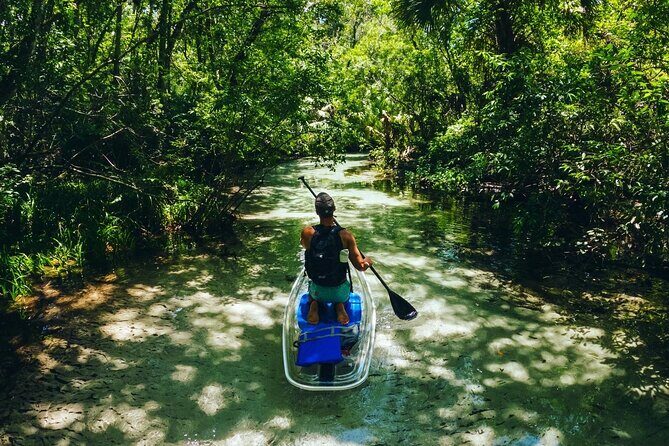 Rainbow Springs: Clear Kayak & Snorkel Eco Tour - Heat, Weather, and When to Go