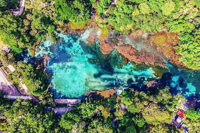 Rainbow Springs: Clear Kayak & Snorkel Eco Tour - KP Hole Park Start Point: Your Base for Picnics and Post-Paddle Swims