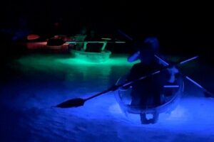 Rainbow Springs: Clear Kayak Sunset & Glow Tour - Where You Start: KP Hole Boat Ramp and Why It Matters