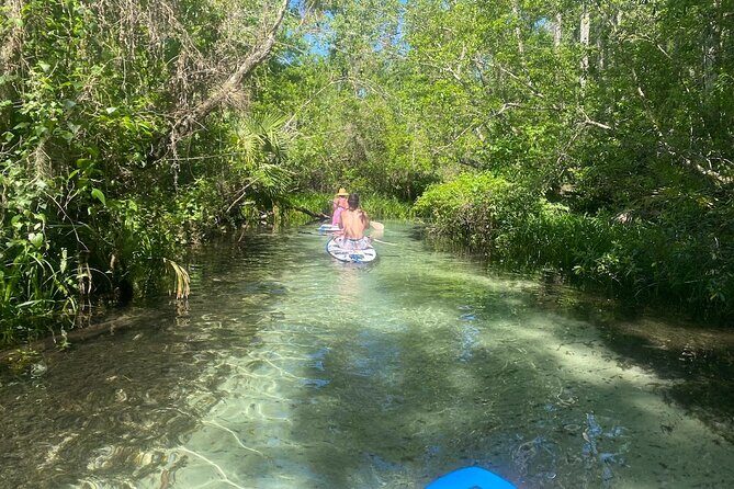 Rainbow Springs Electric Paddle Tour - Key things I’d zoom in on before booking