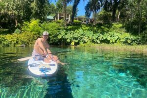 Rainbow Springs Electric Paddle Tour - Rainbow Springs State Park water: clarity, wildlife chances, and the scenery payoff