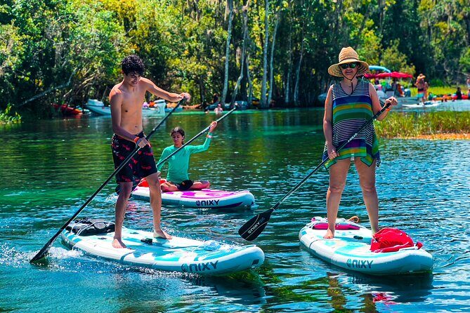 Rainbow Springs Paddle Board Tour - Key things to know before you go