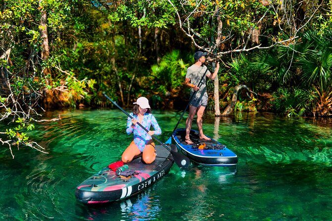 Rainbow Springs Paddle Board Tour - Rainbow Springs SUP: Why This Water Looks Unreal