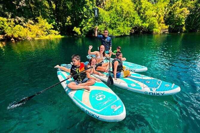 Rainbow Springs Paddle Board Tour - Wildlife Walk-By Moments You Can Actually See
