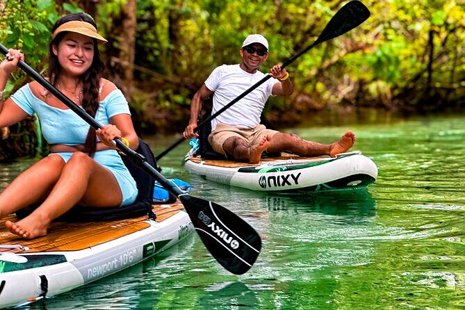 Rainbow Springs Paddle Board Tour - A Shallow-Creek Stop at 1–3 Feet Deep (Perfect for First-Timers)