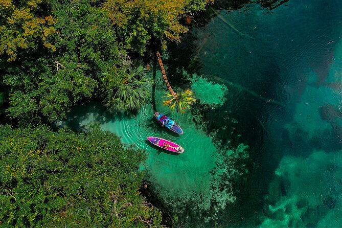 Rainbow Springs Paddle Board Tour - Photos and Video: Included, Not an Afterthought