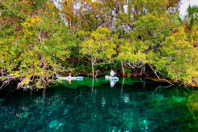 Rainbow Springs Paddle Board Tour - Choosing the Right Time: Go Early for a Calmer Trip