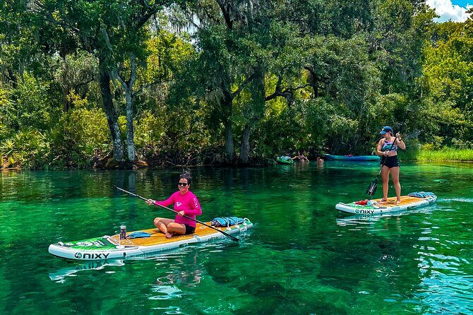 Rainbow Springs Paddle Board Tour - Group Size and Guide Style: Why It Matters on Water