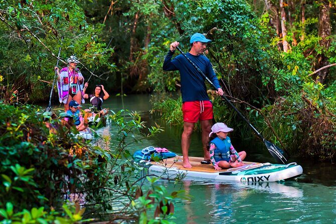 Rainbow Springs Paddle Board Tour - What the Paddling Feels Like on Rainbow River (Depth + Current)