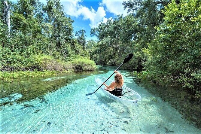 Rock Springs 2-Hour Glass Bottom Guided Kayak Eco Tour - Key things you will notice on this kayak tour