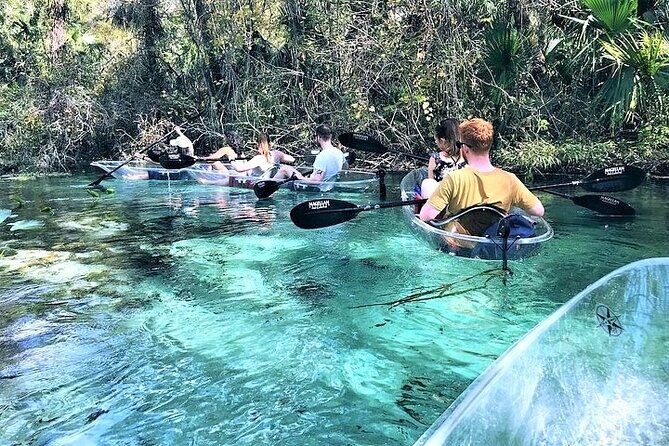 Rock Springs 2-Hour Glass Bottom Guided Kayak Eco Tour - Stop 1 at Rock Springs Run: Emerald Cut and the tree-canopy calm