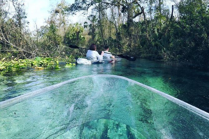 Rock Springs 2-Hour Glass Bottom Guided Kayak Eco Tour - Clear kayak eco tourism: why this small-group format matters