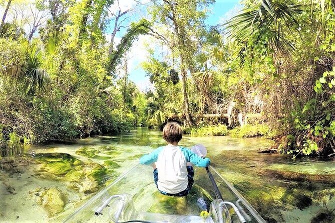 Rock Springs 2-Hour Glass Bottom Guided Kayak Eco Tour - Who should book this, and who should rethink it