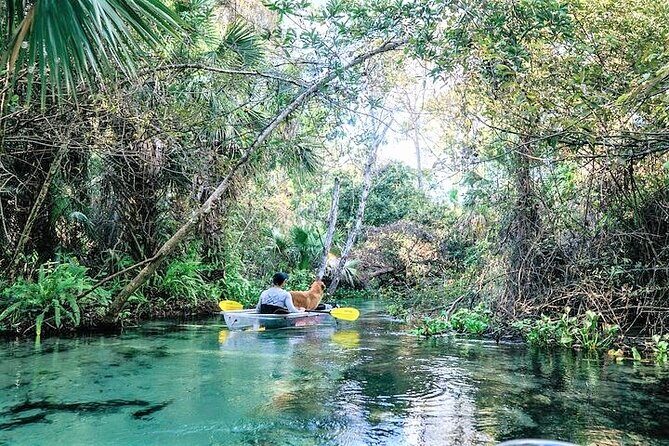 Rock Springs 2-Hour Glass Bottom Guided Kayak Eco Tour - Kings Landing meeting point: gear, briefing, and group vibe